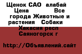 Щенок САО (алабай) › Цена ­ 10 000 - Все города Животные и растения » Собаки   . Хакасия респ.,Саяногорск г.